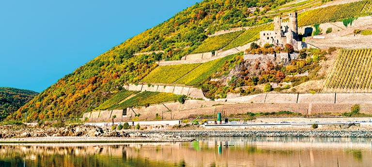 Ehrenfels Castle along the Rhine Gorge